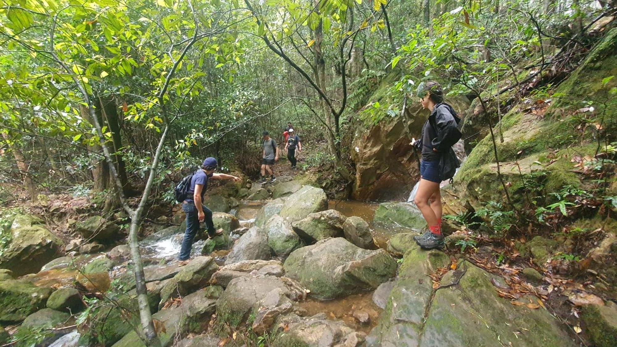 A Pousada Flying Fox Backpackers Katoomba Exterior foto